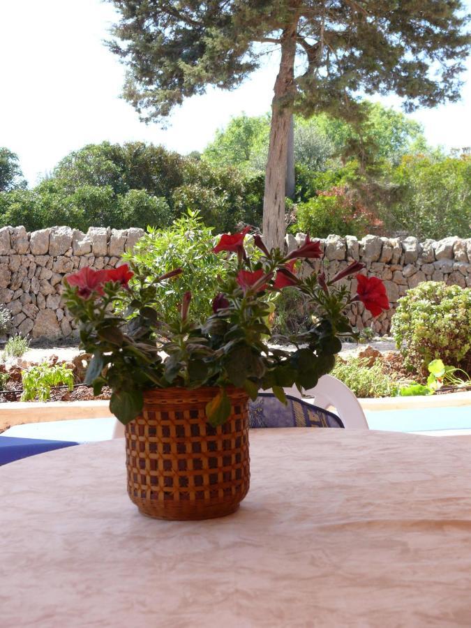 Casa Figuera * Cala Figuera (Mallorca)